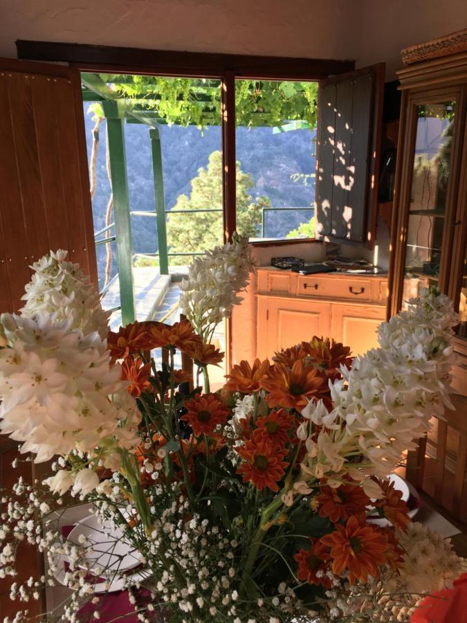 Villa De Taburiente El Paso Dış mekan fotoğraf