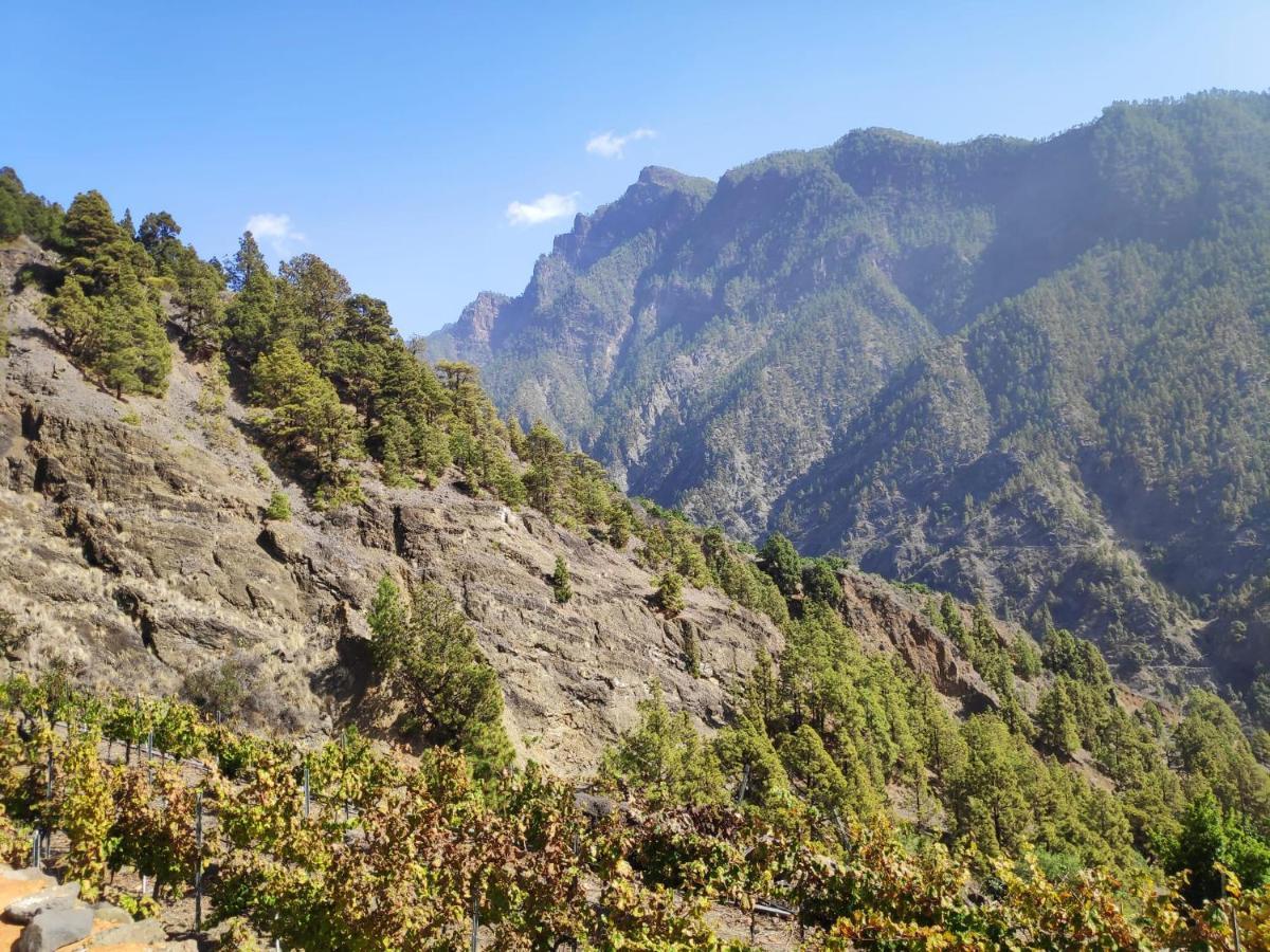 Villa De Taburiente El Paso Dış mekan fotoğraf