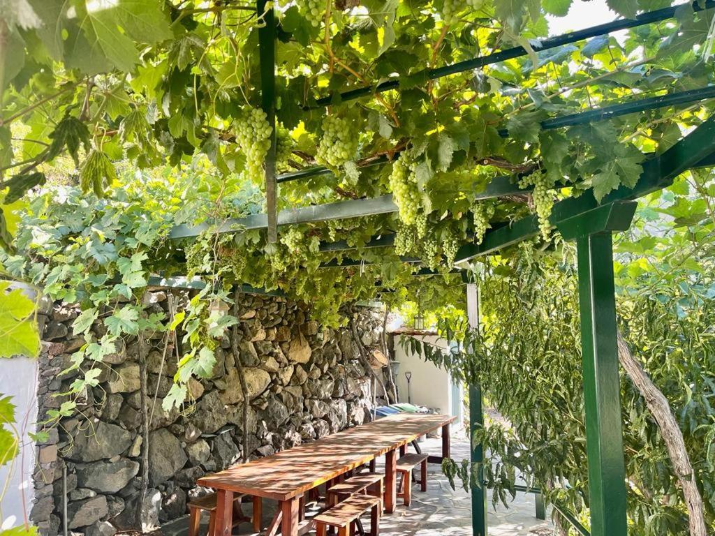 Villa De Taburiente El Paso Dış mekan fotoğraf