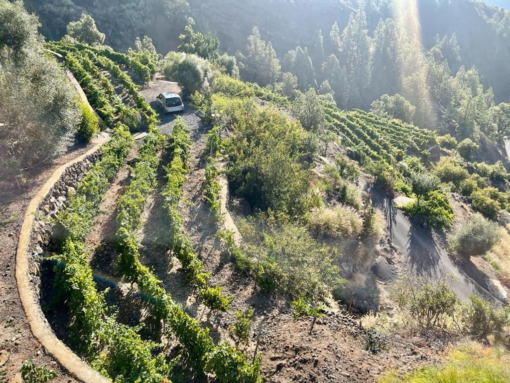Villa De Taburiente El Paso Dış mekan fotoğraf